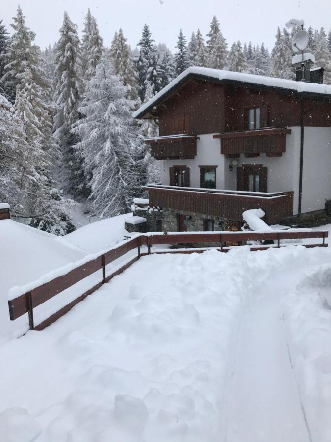 Appartamento Edelweiss ماديسيمو المظهر الخارجي الصورة